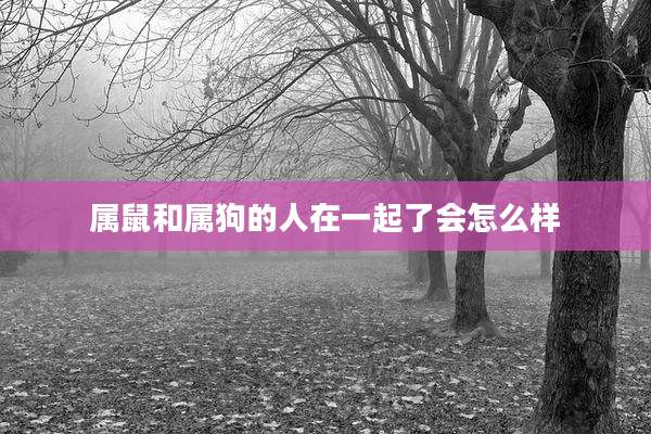 属鼠和属狗的人在一起了会怎么样