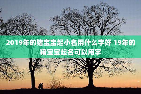 2019年的猪宝宝起小名用什么字好 19年的猪宝宝起名可以用字
