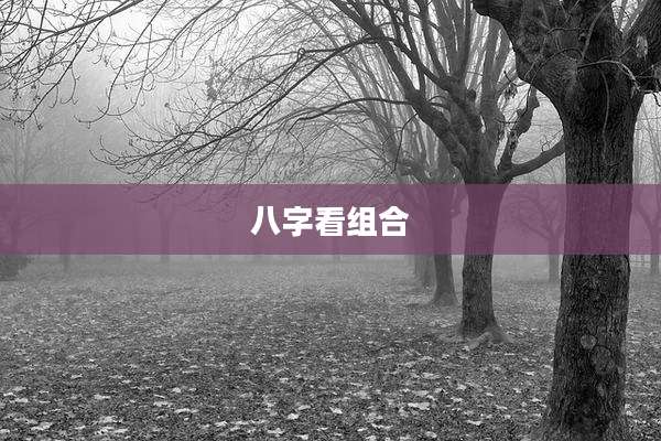 八字看组合