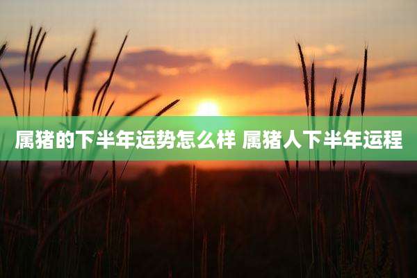 属猪的下半年运势怎么样 属猪人下半年运程