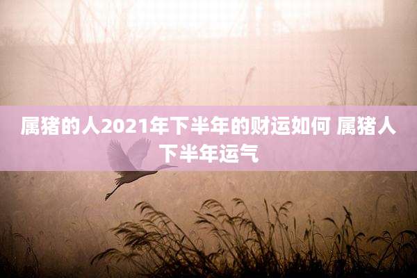 属猪的人2021年下半年的财运如何 属猪人下半年运气