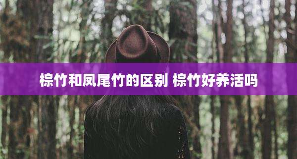 棕竹和凤尾竹的区别 棕竹好养活吗