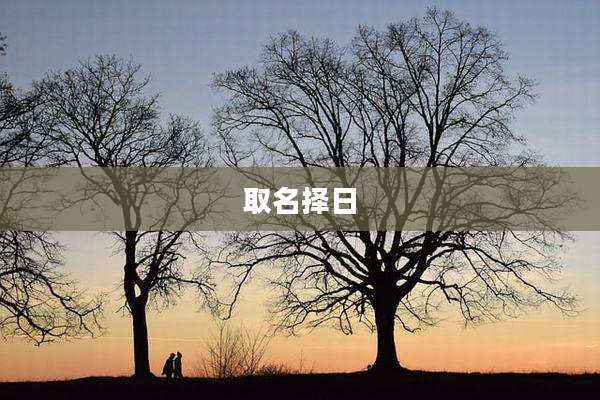 取名择日
