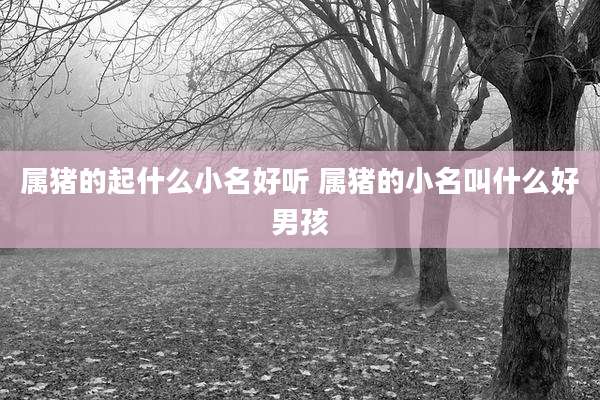 属猪的起什么小名好听 属猪的小名叫什么好男孩