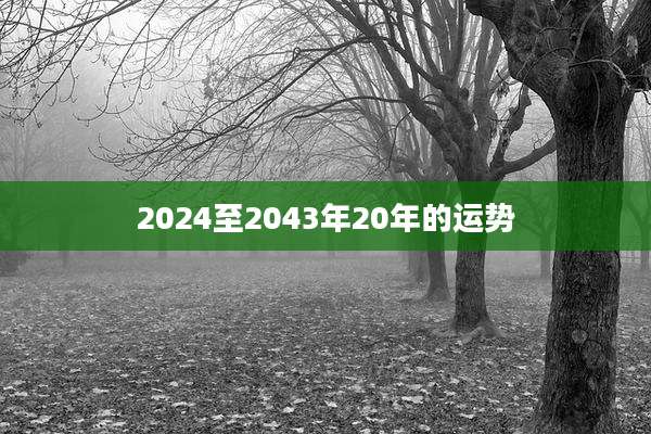 2024至2043年20年的运势
