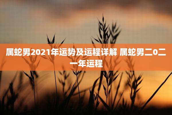 属蛇男2021年运势及运程详解 属蛇男二0二一年运程