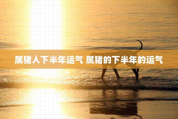 属猪人下半年运气 属猪的下半年的运气