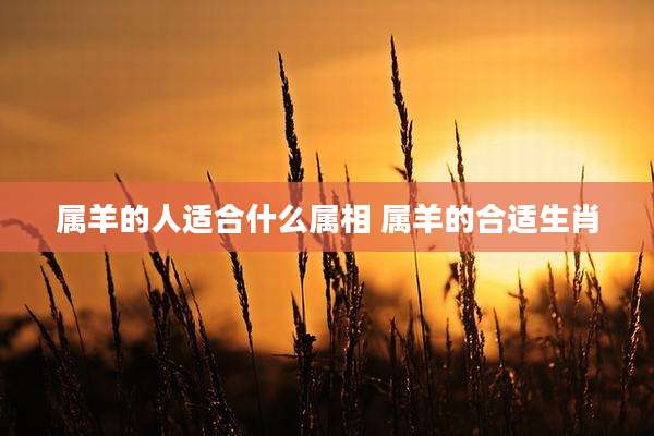 属羊的人适合什么属相 属羊的合适生肖