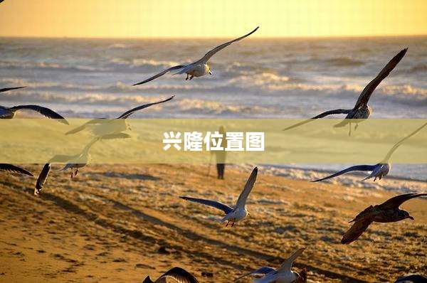 兴隆位置图