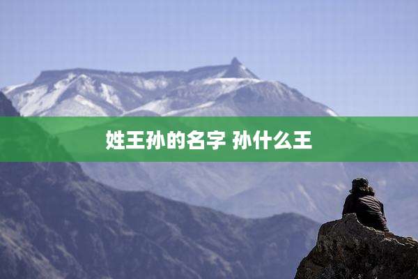 姓王孙的名字 孙什么王