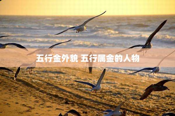 五行金外貌 五行属金的人物