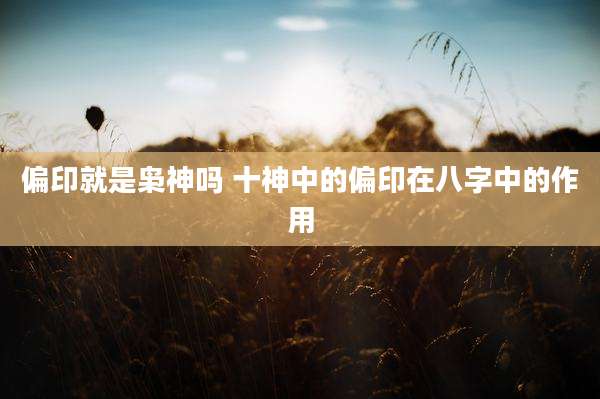 偏印就是枭神吗 十神中的偏印在八字中的作用