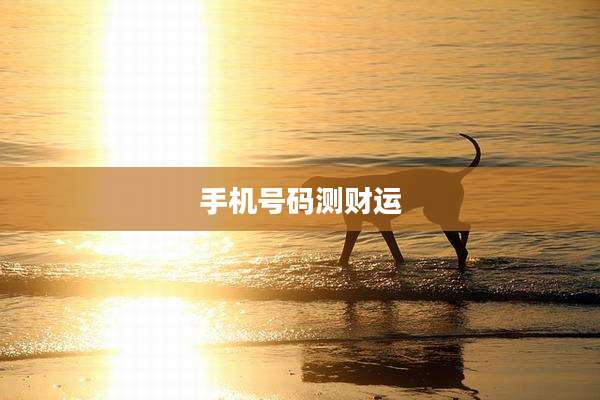 手机号码测财运