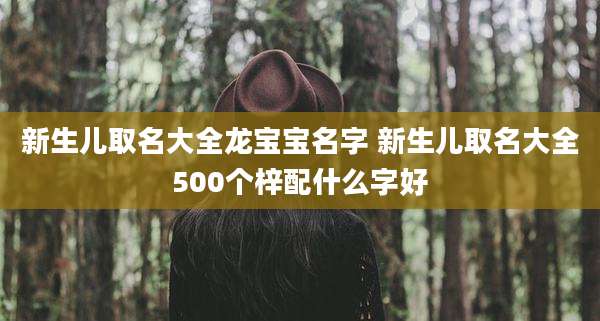 新生儿取名大全龙宝宝名字 新生儿取名大全500个梓配什么字好