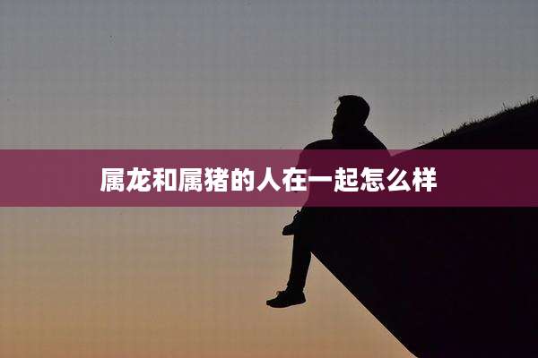属龙和属猪的人在一起怎么样