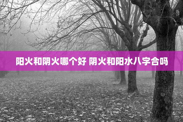 阳火和阴火哪个好 阴火和阳水八字合吗