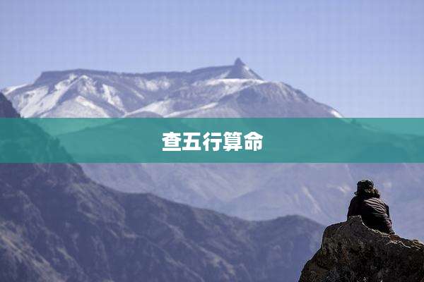 查五行算命