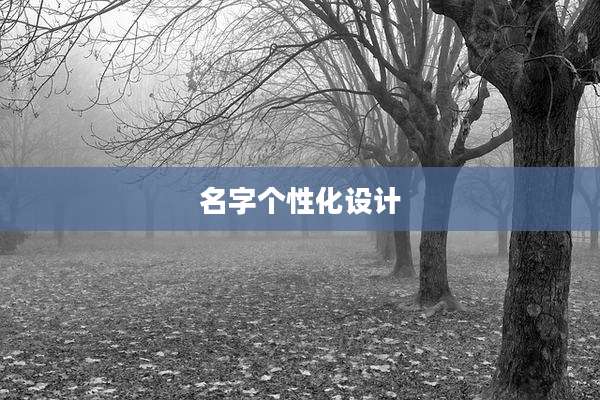 名字个性化设计
