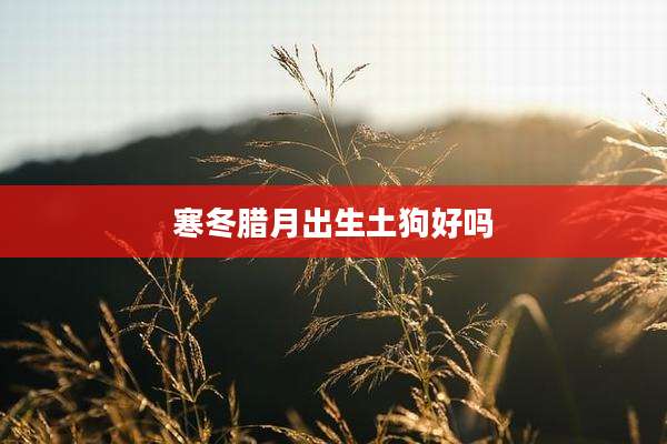 寒冬腊月出生土狗好吗