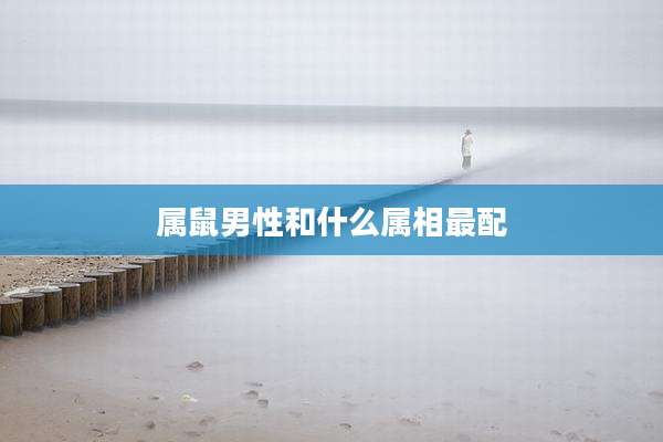 属鼠男性和什么属相最配