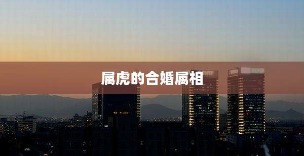 属虎的合婚属相