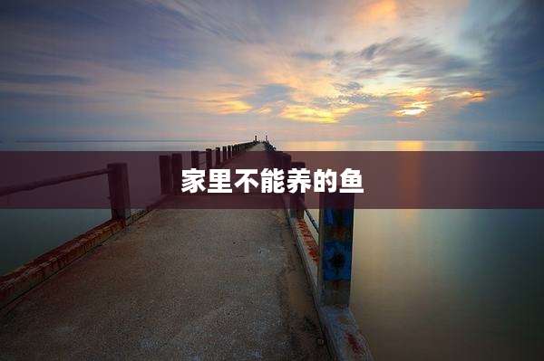 家里不能养的鱼
