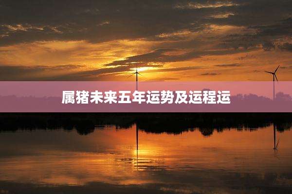 属猪未来五年运势及运程运