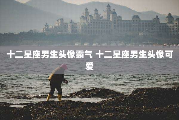 十二星座男生头像霸气 十二星座男生头像可爱