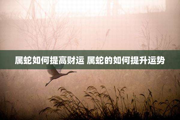 属蛇如何提高财运 属蛇的如何提升运势