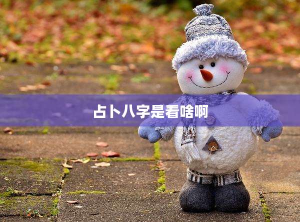 占卜八字是看啥啊