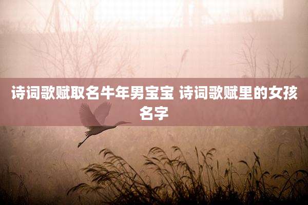 诗词歌赋取名牛年男宝宝 诗词歌赋里的女孩名字