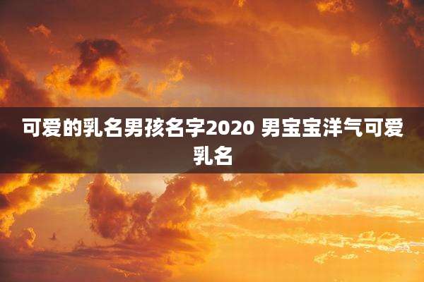 可爱的乳名男孩名字2020 男宝宝洋气可爱乳名