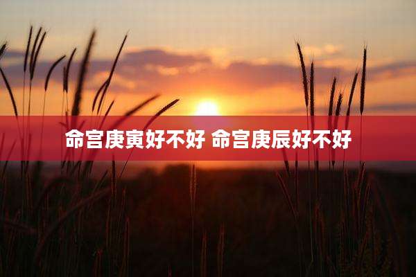 命宫庚寅好不好 命宫庚辰好不好