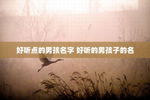 好听点的男孩名字 好听的男孩子的名