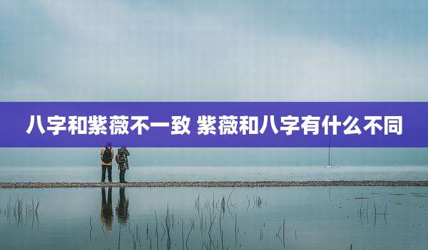 八字和紫薇不一致 紫薇和八字有什么不同