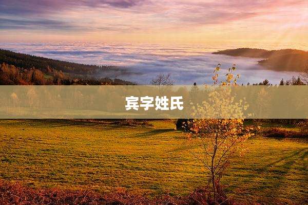 宾字姓氏