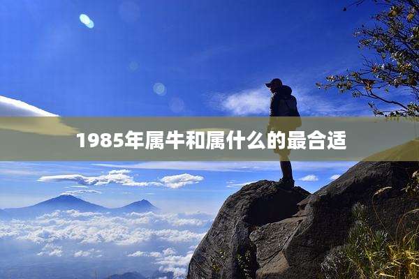 1985年属牛和属什么的最合适