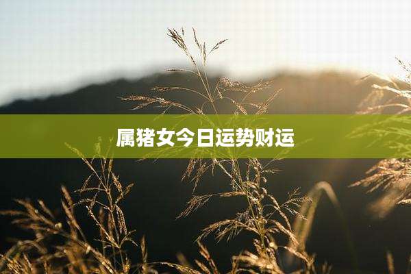 属猪女今日运势财运