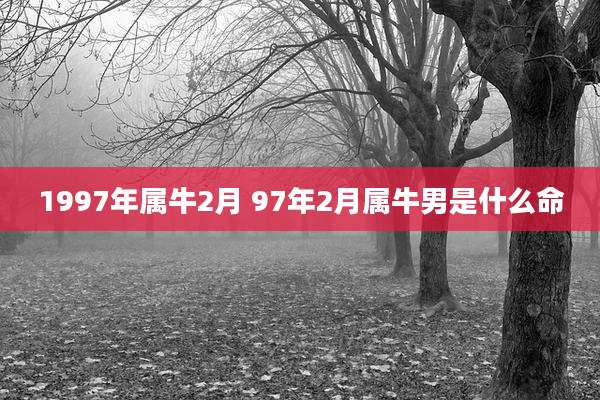 1997年属牛2月 97年2月属牛男是什么命