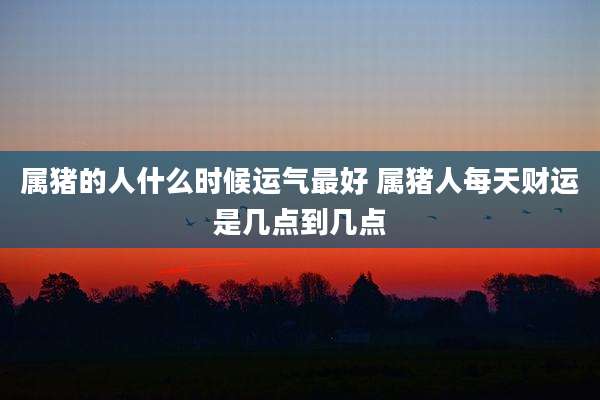 属猪的人什么时候运气最好 属猪人每天财运是几点到几点
