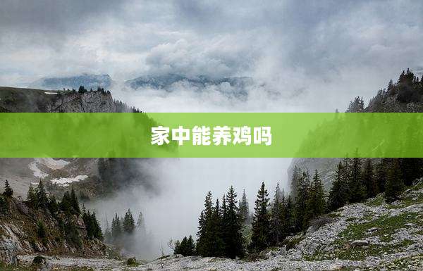 家中能养鸡吗