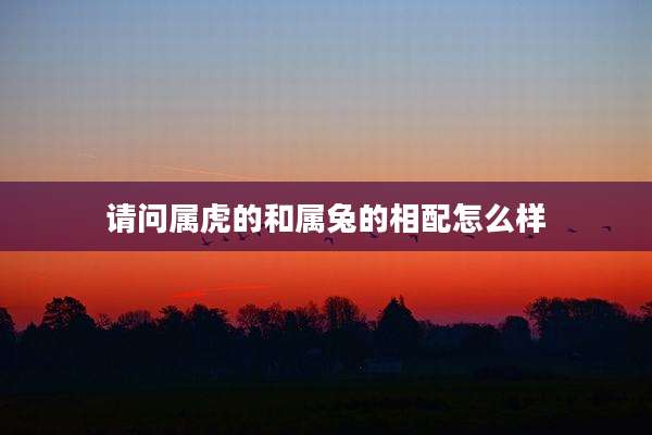 请问属虎的和属兔的相配怎么样