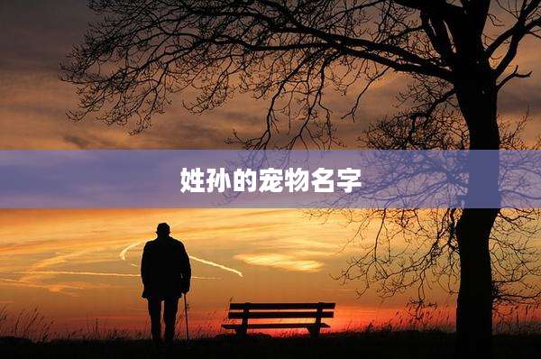 姓孙的宠物名字