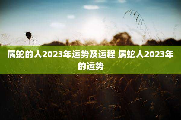 属蛇的人2023年运势及运程 属蛇人2023年的运势
