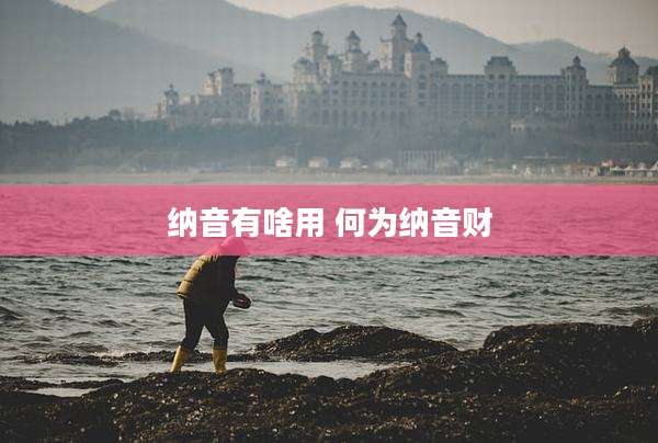纳音有啥用 何为纳音财