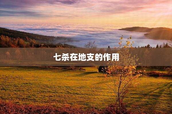 七杀在地支的作用