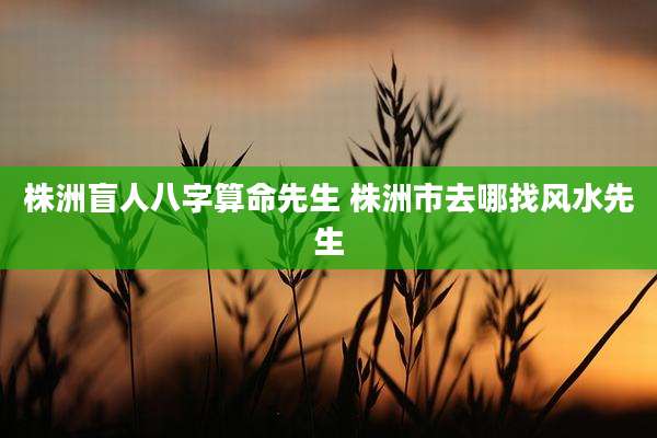株洲盲人八字算命先生 株洲市去哪找风水先生