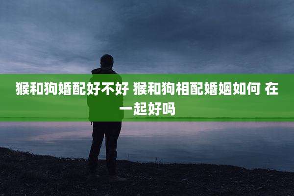 猴和狗婚配好不好 猴和狗相配婚姻如何 在一起好吗