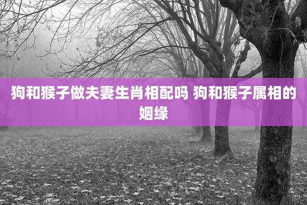 狗和猴子做夫妻生肖相配吗 狗和猴子属相的姻缘