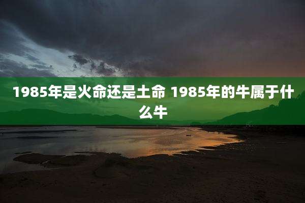 1985年是火命还是土命 1985年的牛属于什么牛